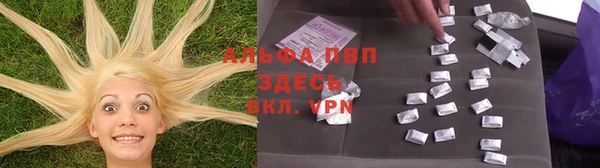 герыч Тайга