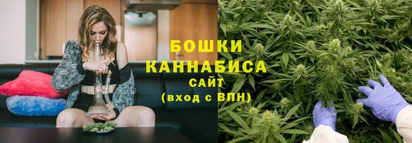твердый Володарск