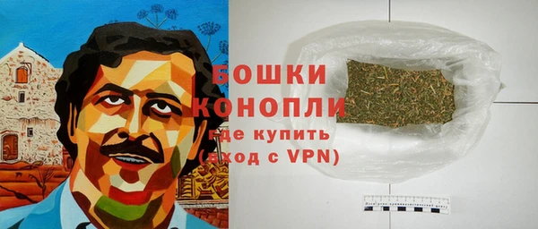 СК Волосово