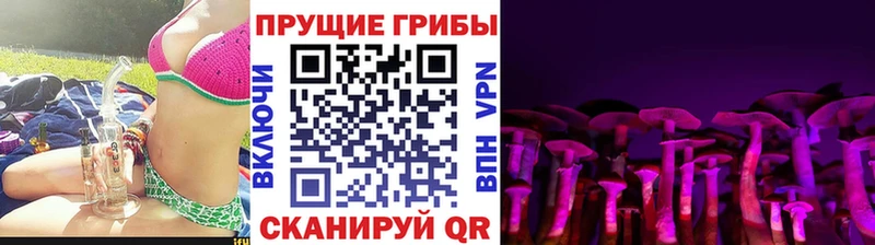 Псилоцибиновые грибы GOLDEN TEACHER Духовщина